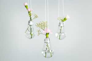 Flowers in light bulbs DIY.