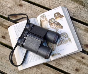 Binoculars rest on a bird identification book open to a page on owls