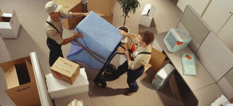 Two commercial movers Boca Raton carrying boxes in an office