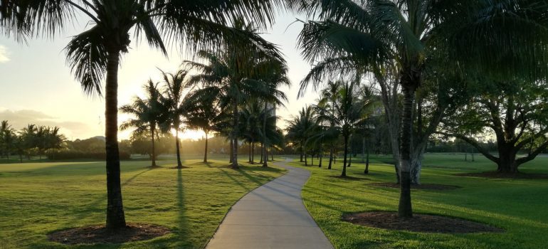 A Florida park that you can visit after hiring long distance movers Bradenton FL offers.