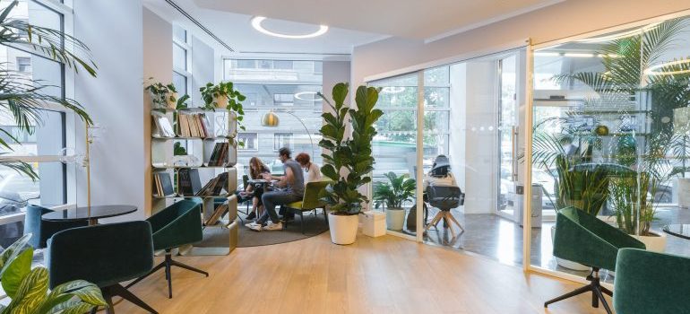 Spacious office full of light, plants, and modern furniture