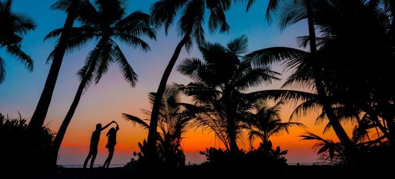 Silhouettes of a couple among palm trees.