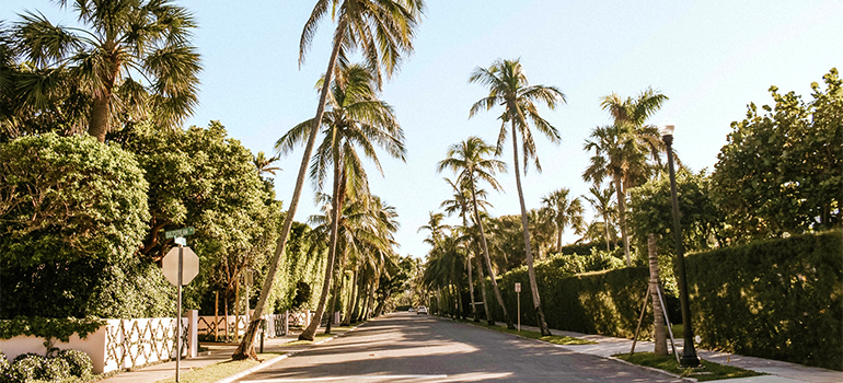 Street in Palm Beach