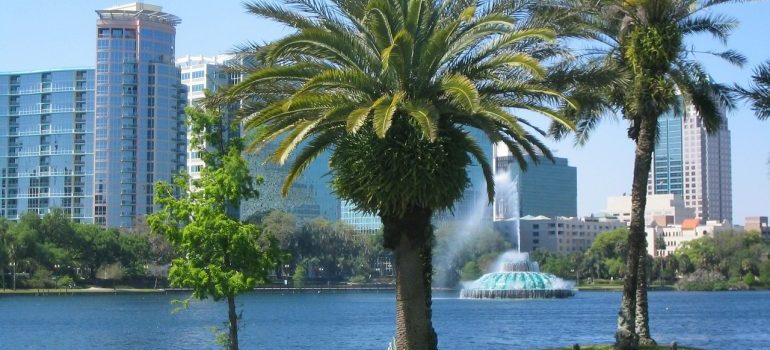 View of Orlando in Florida on palms, buildings, and fountain.