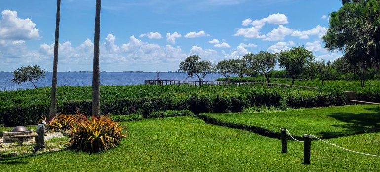 nature in Safety Harbor Florida, one of the best small towns to live in Florida
