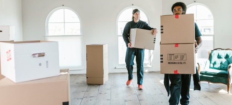 Professionals movers carrying boxes