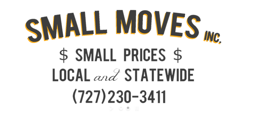 Small Moves company logo