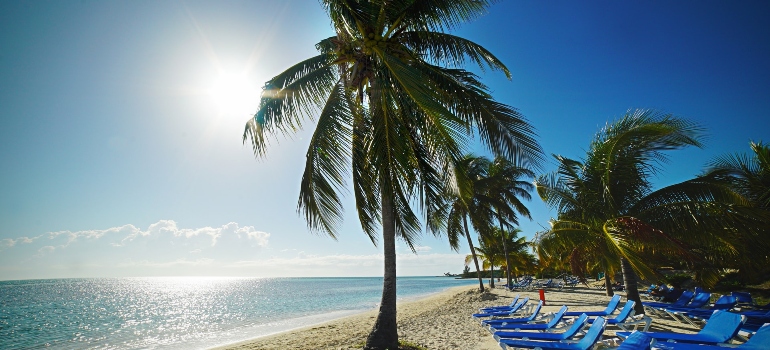 Beach at sunrise, with palm trees and blue sun loungers.